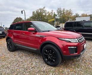 Land Rover Range Rover Evoque Gebrauchtwagen