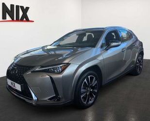 Lexus UX Gebrauchtwagen