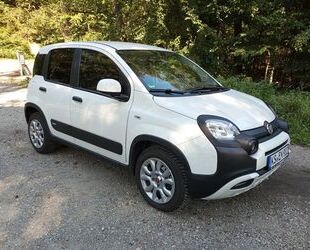 Fiat New Panda Gebrauchtwagen