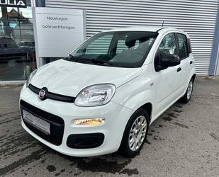 Fiat Panda Gebrauchtwagen