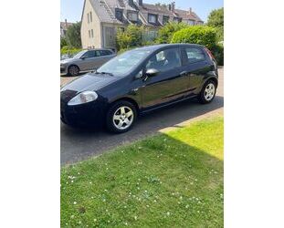 Fiat Punto Gebrauchtwagen