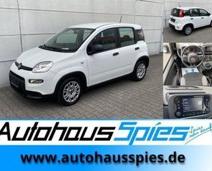 Fiat Panda Gebrauchtwagen