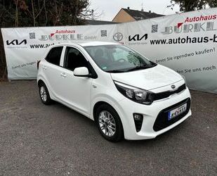 Kia Picanto Gebrauchtwagen