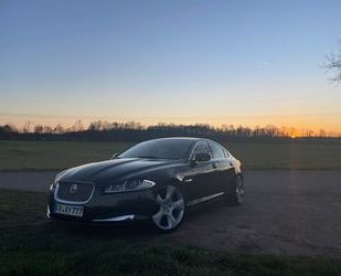 Jaguar XF Gebrauchtwagen