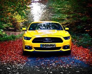 Ford Mustang Gebrauchtwagen