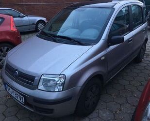 Fiat Panda Gebrauchtwagen