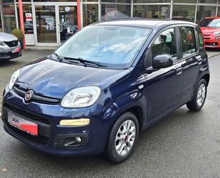Fiat Panda Gebrauchtwagen