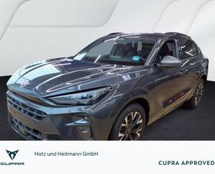 Cupra Terramar Gebrauchtwagen