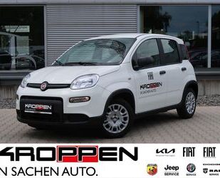 Fiat Panda Gebrauchtwagen