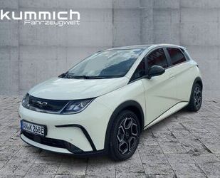 BYD DOLPHIN Gebrauchtwagen
