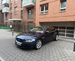 Jaguar XE Gebrauchtwagen