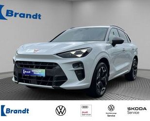 Cupra Terramar Gebrauchtwagen