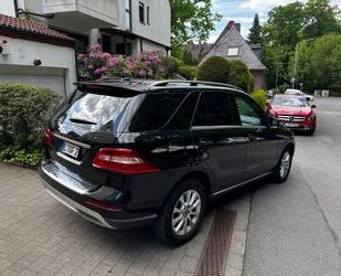 Mercedes-Benz ML 350 Gebrauchtwagen