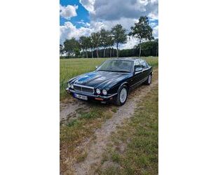 Jaguar Daimler Gebrauchtwagen