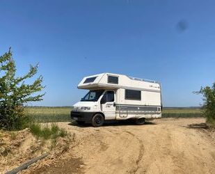 Fiat Ducato Gebrauchtwagen