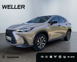 Lexus NX 350h Gebrauchtwagen
