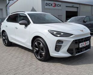 Cupra Terramar Gebrauchtwagen