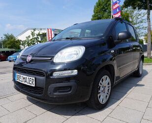 Fiat Panda Gebrauchtwagen
