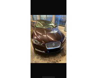 Jaguar XF Gebrauchtwagen