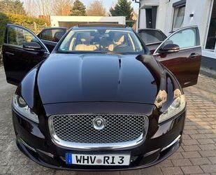 Jaguar XJ Gebrauchtwagen