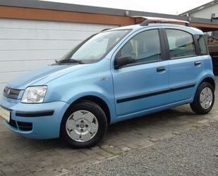 Fiat Panda Gebrauchtwagen