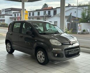 Fiat Panda Gebrauchtwagen