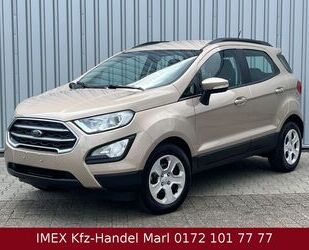 Ford EcoSport Gebrauchtwagen
