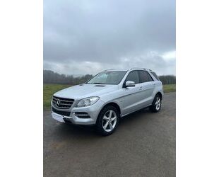 Mercedes-Benz ML 250 Gebrauchtwagen