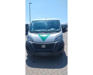 Fiat Ducato Gebrauchtwagen