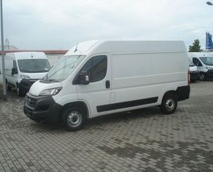 Fiat Ducato Gebrauchtwagen