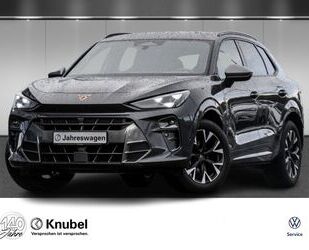 Cupra Terramar Gebrauchtwagen