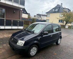 Fiat Panda Gebrauchtwagen