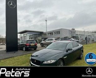 Jaguar XF Gebrauchtwagen
