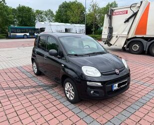 Fiat New Panda Gebrauchtwagen