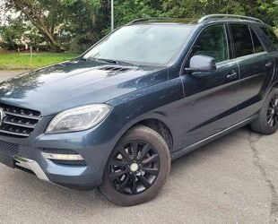 Mercedes-Benz ML 350 Gebrauchtwagen