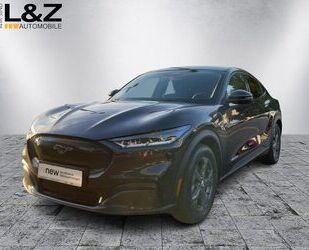 Ford Mustang Gebrauchtwagen