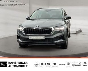 Skoda Karoq Gebrauchtwagen