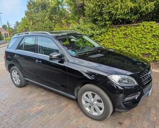 Mercedes-Benz ML 250 Gebrauchtwagen