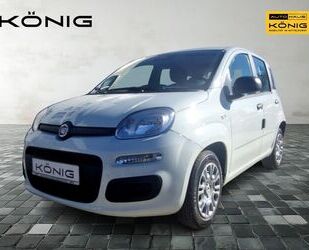 Fiat Panda Gebrauchtwagen