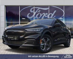 Ford Mustang Mach-E Gebrauchtwagen