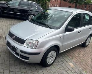 Fiat Panda Gebrauchtwagen