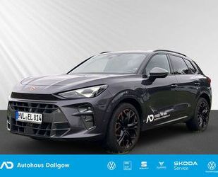 Cupra Terramar Gebrauchtwagen