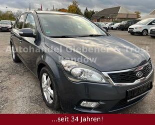 Kia ceed / Ceed Gebrauchtwagen
