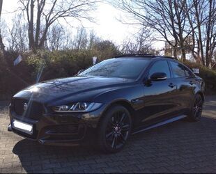 Jaguar XE Gebrauchtwagen