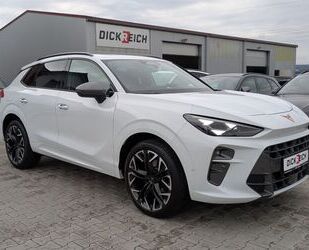 Cupra Terramar Gebrauchtwagen