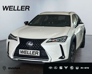 Lexus UX Gebrauchtwagen
