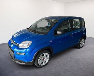 Fiat Panda Gebrauchtwagen