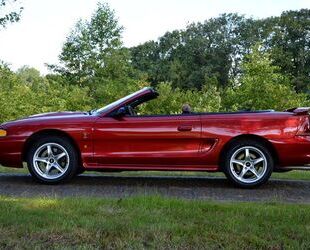 Ford Mustang Gebrauchtwagen