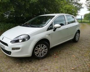 Fiat Punto Gebrauchtwagen