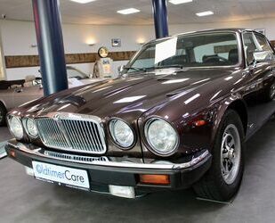 Jaguar XJ6 Gebrauchtwagen